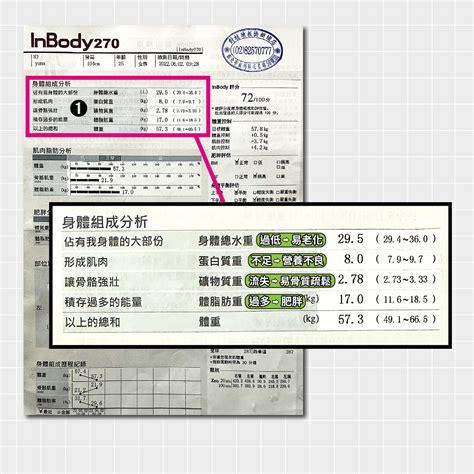 體型分析|看不懂INBODY數據怎麼辦！專業教練簡單解析C、I。